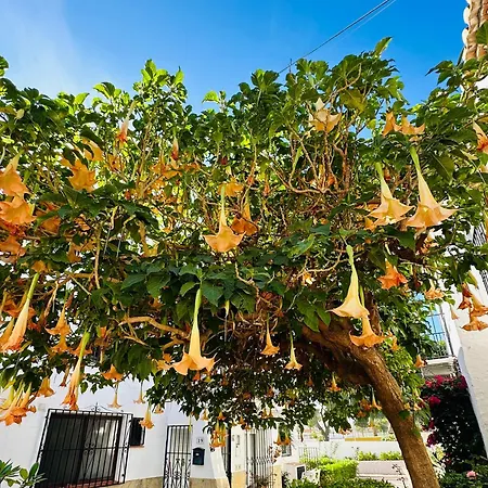 Right By The Pool Area In Capistrano Village Appartamento