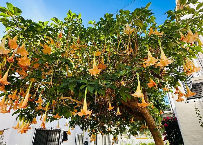 Right By The Pool Area In Capistrano Village Διαμέρισμα